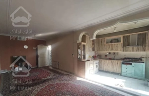 شادمان 79متر