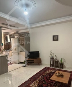 فروش ۴۰ متر ۱ خواب ، نقلی و تخلیه در سلسبیل