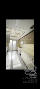 ۴۰ متری کنار دریاچه سهامی خاص ویژه زوجین