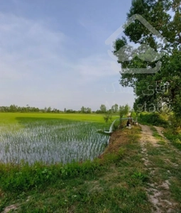 فروش زمین ۷هکتار شالیزار سندار رشت