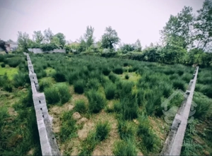 زمین درجه یک