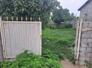 فروش 220متر زمین مسکونی در اسپی کلا