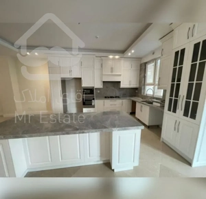 فروش 250 متری دروس