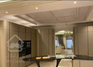 فروش 250 متری دروس