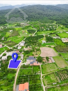 فروش فوری زمین ۲۳۰ ۲۵۰ و ۳۰۰متری