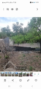 فروش قطعه باغ