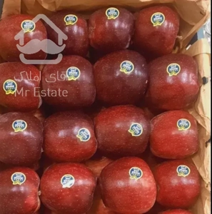 اجاره میوه های باغ شما