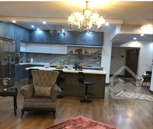 آپارتمان 195متری بالذت و آرامش تک واحدی