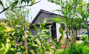 خونه باغ قدیمی  داخل بافت ۴۰۰متر