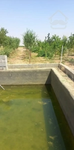 باغ در حسیناباد