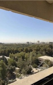 ۱۱۵م نوساز در برج برند،چشم‌اندازی دل‌انگیز به جنگل