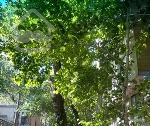 ۲۴۶ متر ۴ خوابه فول بلوار کشاورز