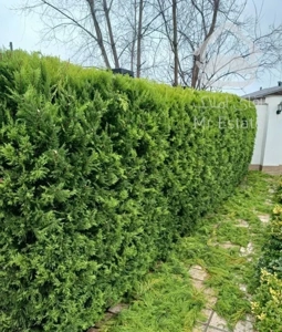 انجام کلیه امور باغبانی وفضای سبز