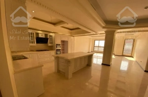 ۲۱۷ متر آپارتمان+۳۰ متر تراس قابل چیدمان کامرانیه