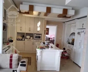 پنت هوس ۲۵۰ متری