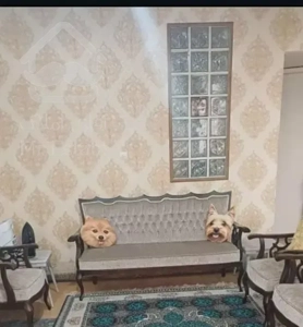 ۵۷متر/دو خواب/تک واحدی/نزدیک مترو شریف