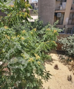 آپارتمان ۲۰۸ متر مربع تک واحدی ط دوم