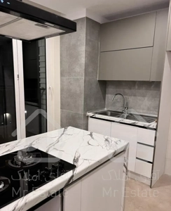 آپارتمان مدرن ، خوش نقشه ، پر نور