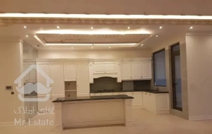 برج باغ ۲۵۰ متری نیاوران