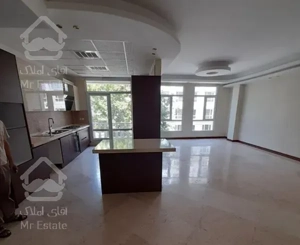 شمال کاخ نیاوران/۲۴۰متر