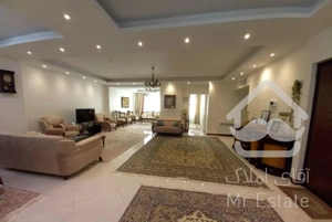 ۱۴۶ متر عارف شمالی