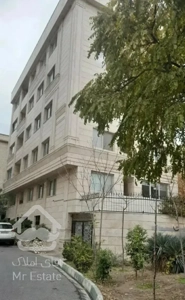 ۸۱ متر سالن پرده خور/نقشه / تاپ لوکیشن