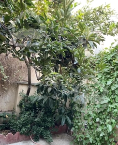 خانه ویلایی شریعتی ۹۷ متر