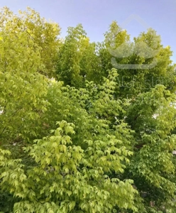 فروش آپارتمان شهرک امام حسین همکف