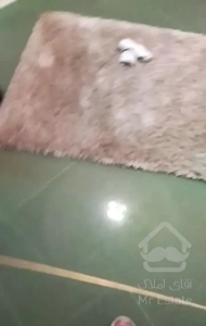 اجاره آپارتمان ۱۵۰متری با پارکینگ و آسانسور