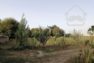 سویت خانه جنگلی ویلایی