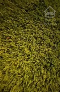 فروش وتهاتر کاخ ویلا تریبلکس ۳۶۰ متر جاده نظامی