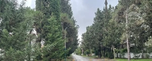ویلا کلاسیک 650 متری در خیابان 14 شهرک دریاکنار