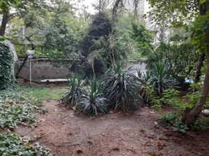 کلنگی بر ۲۲ جنوبی نیاوران