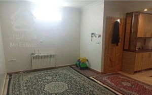 ۶۶مترفول/کرمان/رسالت/گلبرگ/استادحسن بنا