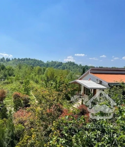 اجاره مکانی شیک مستقل  کد ۴۰