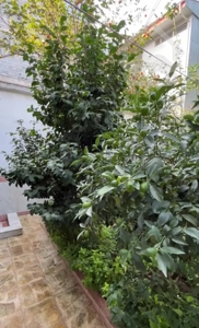 رهن واجاره تک واحدی۱۵۰متری ۳خواب