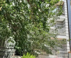 ۸۱ متر  دوخواب سالن پرده خور