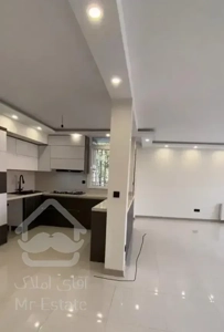 ولیعصر مطهری ابتدای لارستان ۸۸ متر همکف مسکونی