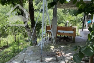 باغ ویلای جنگلی