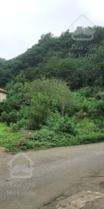 اجاره کوتاه مدت ویلا تمیز جنگلی