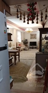 باغ فیض واحد صدمتری