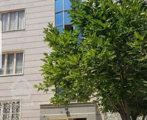 شاهین جنوبی  ۱۳۶متر ۳ خواب فول امکانات