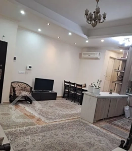 آپارتمان ۶۰ متری/ آکواریوم نور/