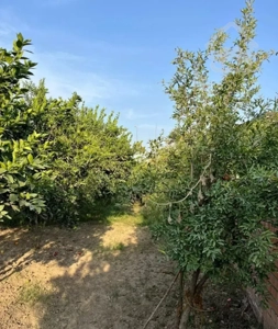 اپارتمان رهن کامل گلشهر 8گل ارا