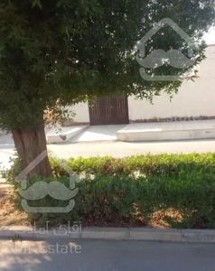 کوی مجاهد خیابان اصلی