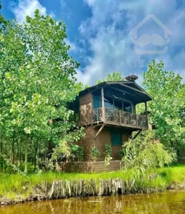 ویلاهای چوبی و سوئیسی در مجموعه ی جنگلی