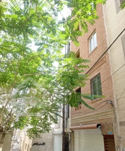 اوین« میدان دانشگاه »فروش 51 متر