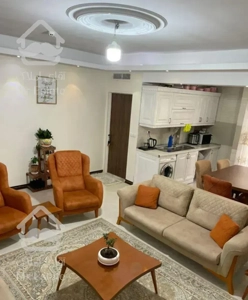 ۶0 متر/۱خواب/بازسازی شده(غرق نور)