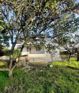 ۸۰۰ متر باغ ویلا سند شش دانگ کلنگی