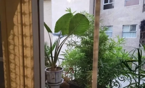 فروش اپارتمان ۱۷۵ متر. سه خواب